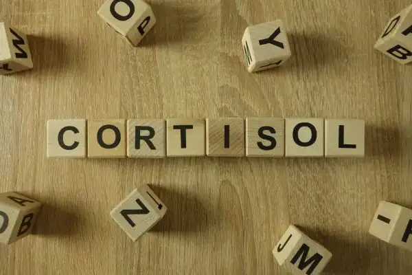 The Hidden Connection: How Stress Shapes Your Fitness and Body Composition 2 Image saying "Cortisol" and how stress Llanelli impacts your wellbeing and bodies shape
